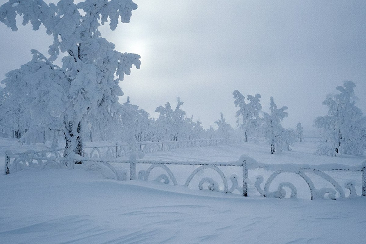 Trees and railings completely encased in thick white rime ice from frozen spray